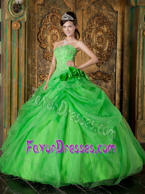 Strapless Beaded Organza Beautiful Sweet Sixteen Dress in Spring Green