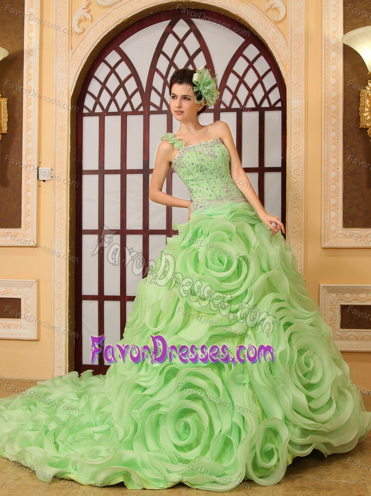 Fashionable Beading One Shoulder Dresses for Quinces in Organza