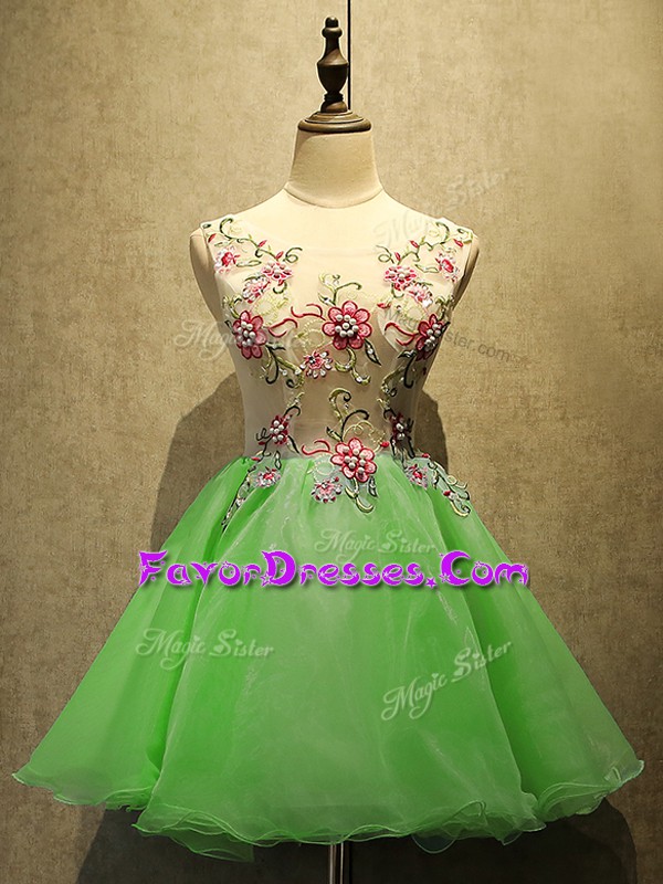 Elegant Lace Up Scoop Embroidery Homecoming Dress Organza Sleeveless