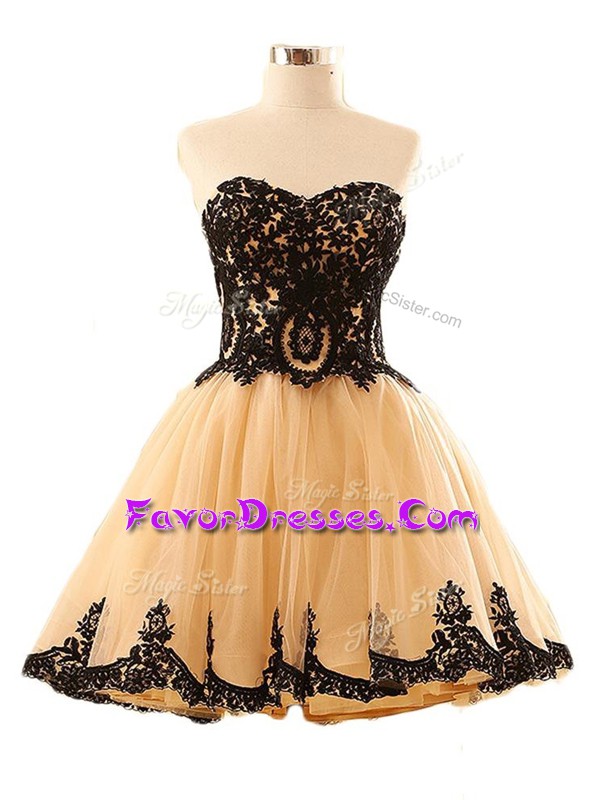  Champagne Tulle Lace Up Prom Dresses Sleeveless Mini Length Appliques