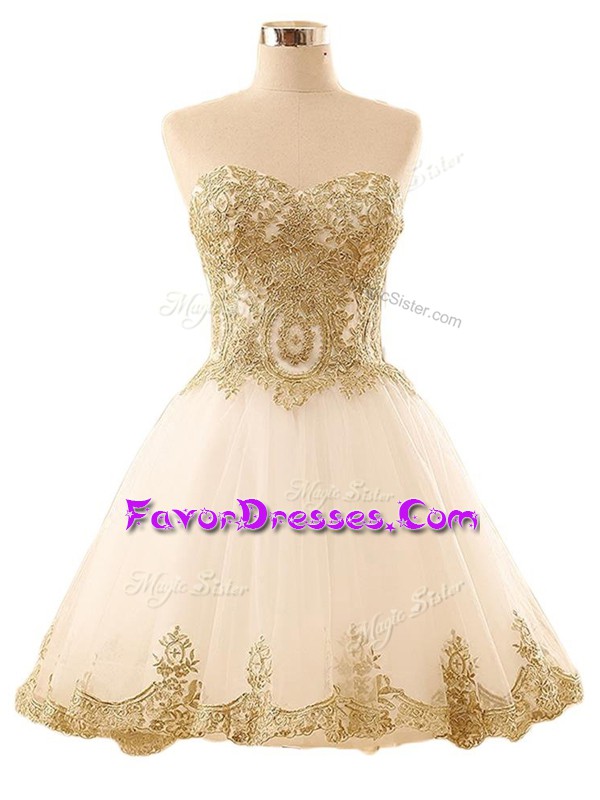  Champagne Sleeveless Tulle Lace Up Homecoming Dress Online for Prom and Party and Sweet 16