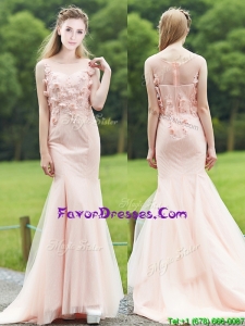 Modern See Through Light Pink Mermaid Mother Dresses with Brush Train