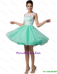 Cheap Elegant Laced Scoop A Line Prom Dresses in Apple Green
