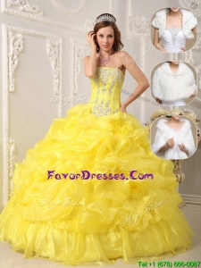 2016 Perfect Strapless Quinceanera Gowns with Beading and Ruffles