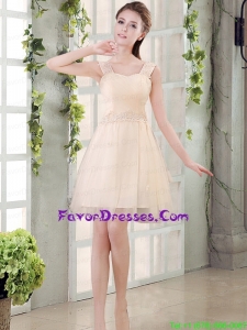 Straps A Line Champagne Prom Dress with Appliques