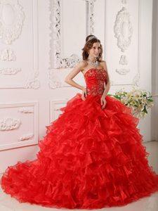 Custom Made Red Strapless Organza Sweet 16 Dresses with Embroidery