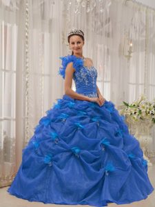Low Price Blue One Shoulder Organza Quinceanera Dress with Appliques