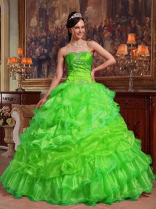 Spring Green Sweetheart Nice Quinceanera Gowns in Taffeta and Organza