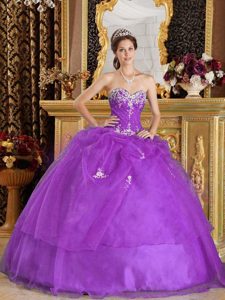 Eggplant Purple Ball Gown Sweetheart Cute Quinceanera Dress in Organza