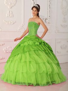 Latest Spring Green Quinceanera Gowns in Organza and Taffeta