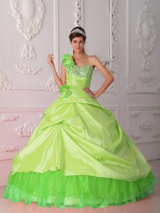 Spring Green Informal One Shoulder Quince Dress in Organza and Taffeta