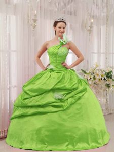 Top Spring Green One Shoulder Taffeta Quinceanera Dress with Pick-ups