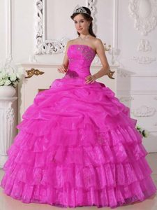 Fitted Pink Ball Gown Strapless Appliqued Quinceaneras Dress in Organza