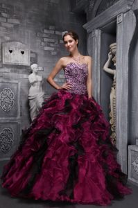 Fashionable Burgundy Sweetheart Dress for a Quince in Zebra and Organza