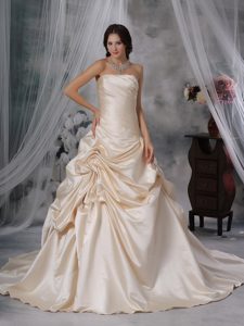 Champagne Strapless Court Train Taffeta Ruched Wedding Dresses with Pick-ups