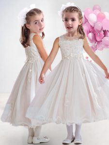 New Arrival Baby Pink Clasp Handle Scoop Appliques Flower Girl Dress Organza Sleeveless