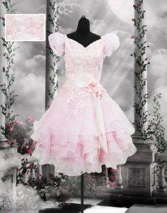 New Arrival Baby Pink Short Sleeves Organza Lace Up for Prom and Party