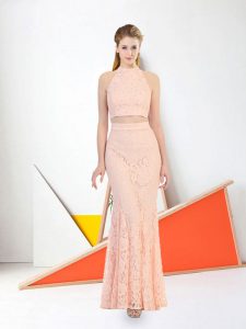 Designer Baby Pink Lace Zipper Evening Dress Sleeveless Floor Length Lace