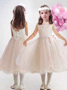 Flare Baby Pink Ball Gowns Organza Scoop Sleeveless Lace and Ruffles Tea Length Zipper Toddler Flower Girl Dress