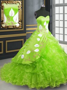 Ball Gowns Embroidery 15th Birthday Dress Lace Up Organza Sleeveless