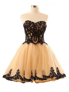 Champagne Tulle Lace Up Prom Dresses Sleeveless Mini Length Appliques