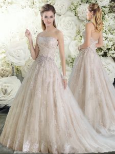 Champagne A-line Tulle Strapless Sleeveless Beading and Lace Clasp Handle Wedding Gown Brush Train