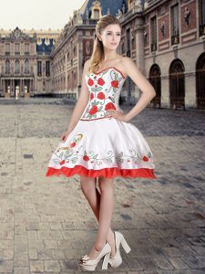 Pretty Sleeveless Lace Up Mini Length Embroidery Homecoming Dress