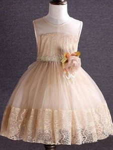 Discount Tulle Sleeveless Knee Length Little Girl Pageant Gowns and Lace and Hand Made Flower