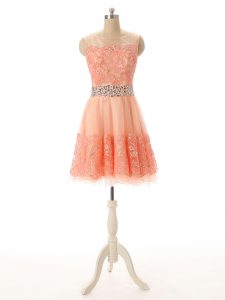 Enchanting Scoop Sleeveless Zipper Party Dress Peach Tulle