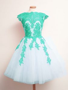 Multi-color Tulle Lace Up Dama Dress Sleeveless Mini Length Appliques