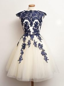 Fancy Sleeveless Lace Up Mini Length Appliques Quinceanera Court of Honor Dress