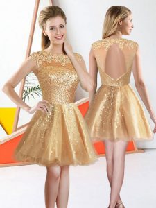 Exceptional A-line Quinceanera Court of Honor Dress Champagne Bateau Organza Sleeveless Knee Length Backless