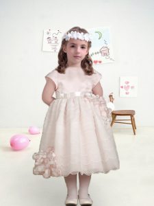 Hot Sale Pink Short Sleeves Organza Lace Up Flower Girl Dresses for Less for Wedding Party