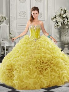 Pretty Organza Sleeveless Quinceanera Dresses Court Train and Beading and Ruffles