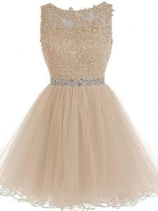 Captivating Scoop Sleeveless Tulle Party Dress Wholesale Beading and Lace and Appliques Zipper