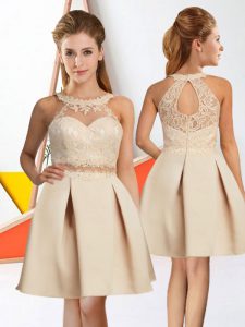 Ideal Knee Length Zipper Court Dresses for Sweet 16 Champagne for Prom and Party with Lace