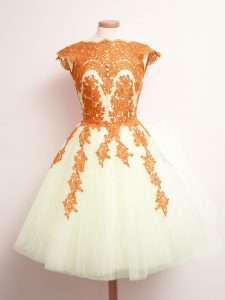 Traditional Multi-color Sleeveless Mini Length Appliques Lace Up Quinceanera Court of Honor Dress