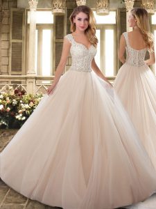Pink Organza Clasp Handle Straps Sleeveless Wedding Dress Sweep Train Appliques and Embroidery