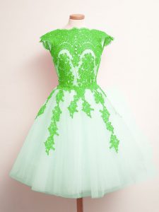 Sweet Sleeveless Tulle Mini Length Lace Up Dama Dress in Multi-color with Appliques