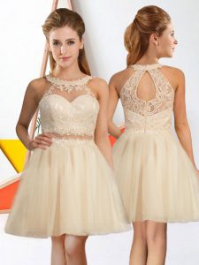 Delicate Halter Top Sleeveless Quinceanera Court Dresses Knee Length Lace Champagne Tulle