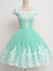 Apple Green Square Neckline Lace Dama Dress for Quinceanera Cap Sleeves Zipper