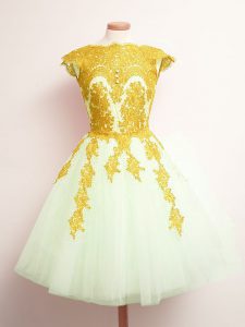 Fashionable Mini Length A-line Sleeveless Multi-color Dama Dress for Quinceanera Lace Up