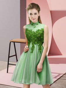 On Sale Appliques Court Dresses for Sweet 16 Apple Green Lace Up Sleeveless Knee Length