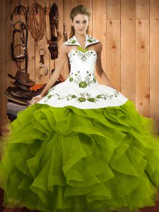 Glamorous Sleeveless Tulle Floor Length Lace Up Quinceanera Dress in Olive Green with Embroidery and Ruffles