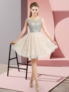 Pretty Lace Scoop Cap Sleeves Backless Beading Casual Dresses in Champagne