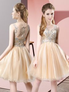 Attractive A-line Prom Party Dress Champagne Scoop Tulle Sleeveless Knee Length Zipper