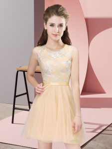 Tulle Sleeveless Mini Length Quinceanera Dama Dress and Lace
