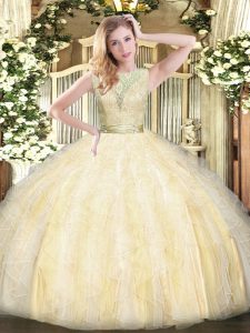 Nice Organza Sleeveless Floor Length Quince Ball Gowns and Lace and Ruffles