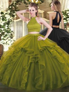 Delicate Halter Top Sleeveless Backless Quinceanera Dress Olive Green Organza