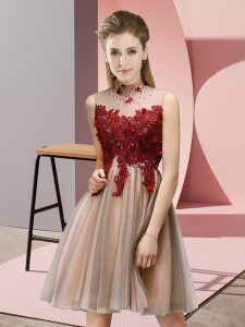 Noble Empire Bridesmaid Dresses Pink High-neck Tulle Sleeveless Knee Length Lace Up